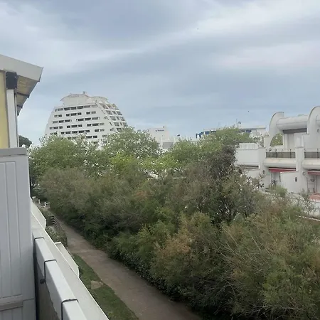 Apartamento T2 Climatise A 200m Plage, Terrasse, Parking, 4 Couchages - - Fr-1-250-291 La Grande-Motte